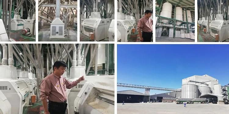 2t/H Grain Wheat Flour Mill Milling Machine with Installation