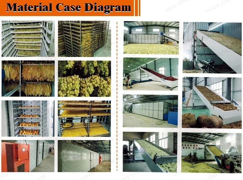 China Supplier Food Onion Drying Machine Fruit Chips Dehydrator