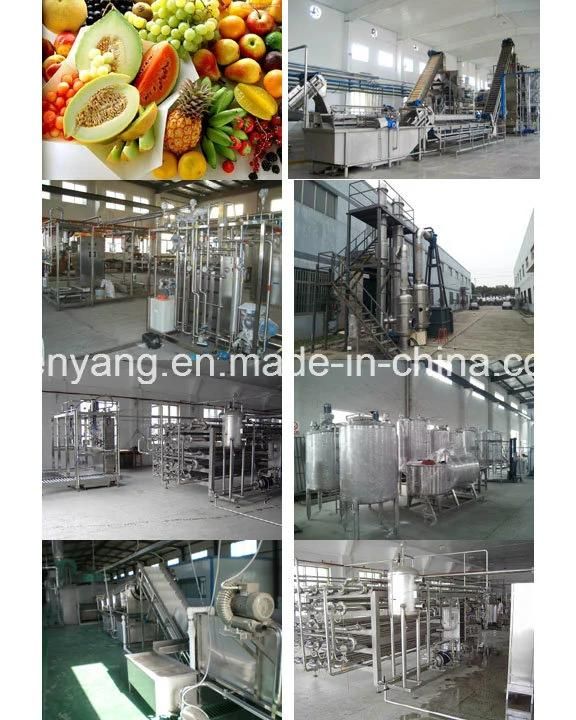 Full Automatic Inulin Powder Production Machines