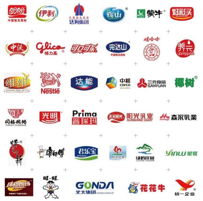 Shanghai New Yogurt Processing Equipment Yogurt Plant