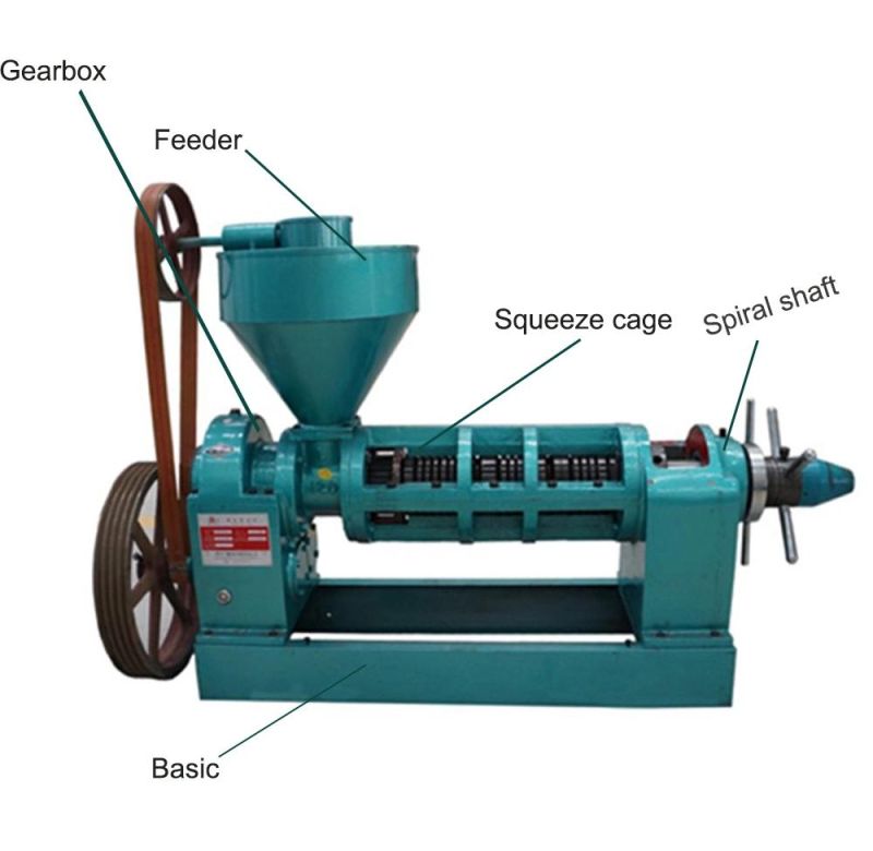 Vegetable Oil Squeezing Machine From Manufacturer