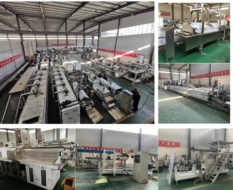 Tvp Tsp Soy Meat Soy Fiber Twin Screw Extruder Soy Protein Machine