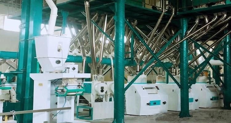 European Standard Wheat Mill Flour Making Machine Complete Plant Factory Price