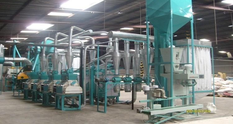 Small Capacity 20t/24h Wheat Flour Milling Machine