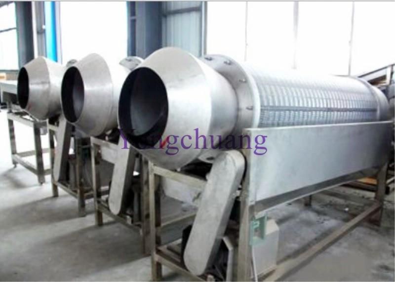 Factory Directly Sale Green Bean Cutting Machine with High Capacity