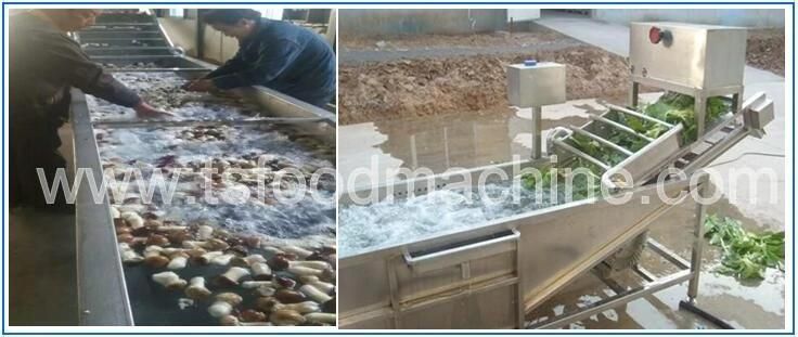 Chinese Manufacturing Mushroom Washer and Washing Machine