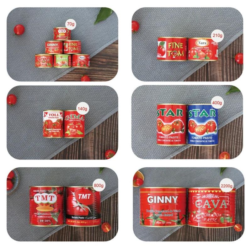 Hot Selling Gino Tomato Paste Factory in China