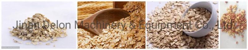 Natural Oatmeal Production Line Large Oatmeal Forming Machine