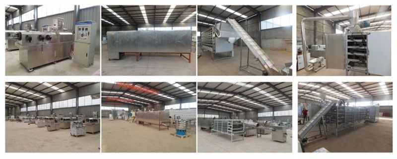 Slanty Chips Pellet Snack Food Making Extruder Machine Production Line