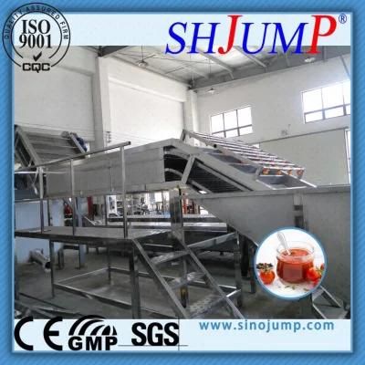 Small Capacity-Tomato Processing Machine