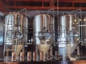 50L 100L 200L 250L 300L 400L 500L 600L 800L Stainless Steel Jacketed Conical Beer ...