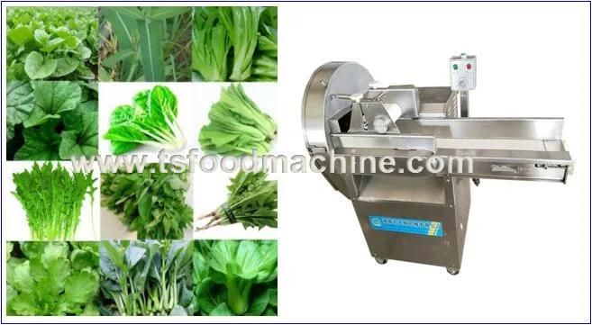 Cabbage and Leaf Vegetables Lettuce Cutter