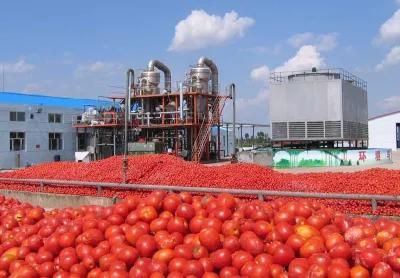 High Quality Ketchup /Tomato Sauce Paste Making Machine