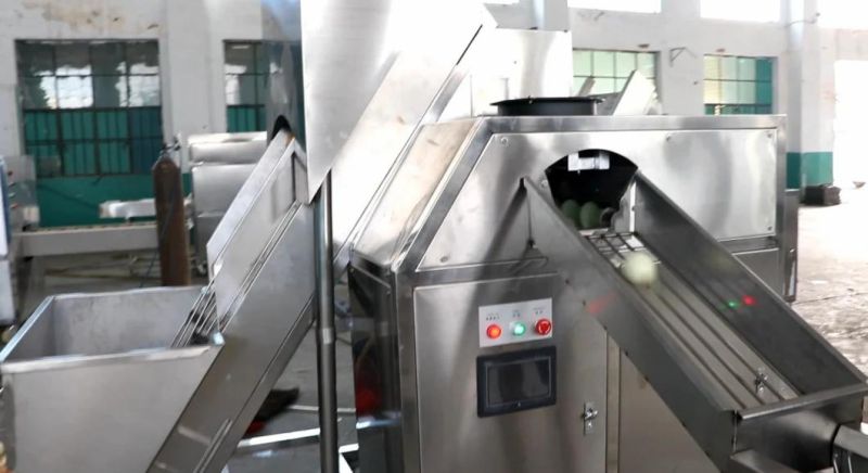 Full Automatic Onion Peeling Machine Onion Root Cutting Machine