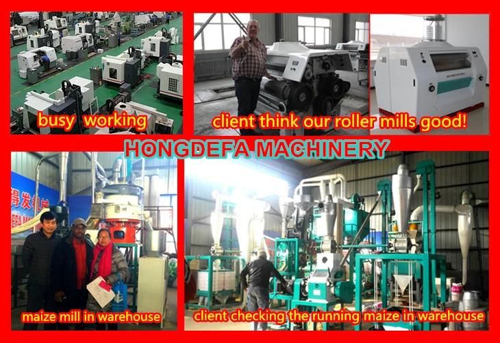 100t Per Day Maize Milling Maize Flour Machine