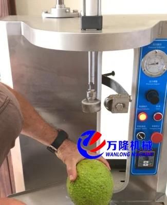 Widely Application Pineapple Grapefruit Papaya Cantaloupes Skin Peeler with PLC