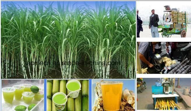 Electric Sugar Cane Juice Machine|Manual Making Sugarcane Juicer Machine Price