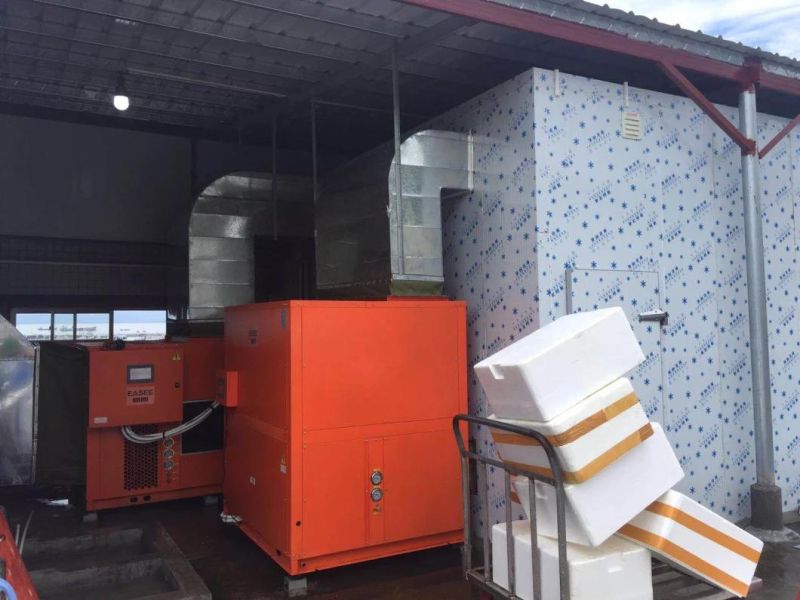 Industrial Commercial Food Dehydrator Vegetable Drying Machine Star Fruit Heat Pump Dryer