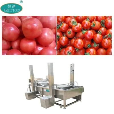 Bubble Washing Machine for Tomatoes Cherry Tomato Washing Machine