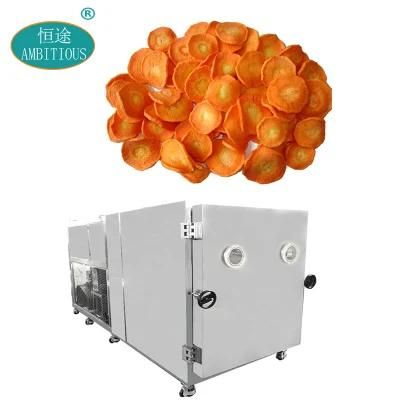 Fruit Dehydrator Machines Vacuum Food Lyophilizer Price Vegetable Freeze Drying Machine