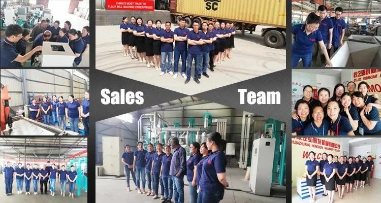 China Best Hongdefa Corn Wheat Flour Grits Mill Milling Machine