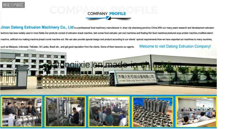 Twin-Screw Extruded Textured Soy Protein Tvp Tsp Mock Meat Factory Plant Solution Processing Line Machine