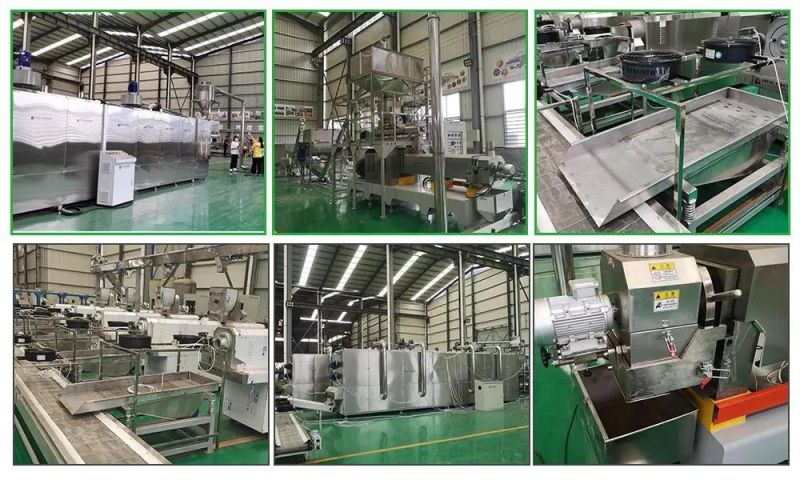 China Nutritional Right Rice Kernel Extruder Machinery/Automatic Fortificated Rice Extrusion Machinery Jinan