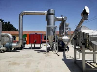 Global Shining Lake Sea Rock Iodine Iodized Iodization Iodizing Salt Making Machinery