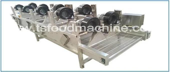 Food Equipment Conveyor Mesh Belt Coconut Chips Dryer and Drying Cooling Machine