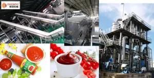 Canned Tin Tomato Paste Processing Plant / Fruit Juicer Production Line