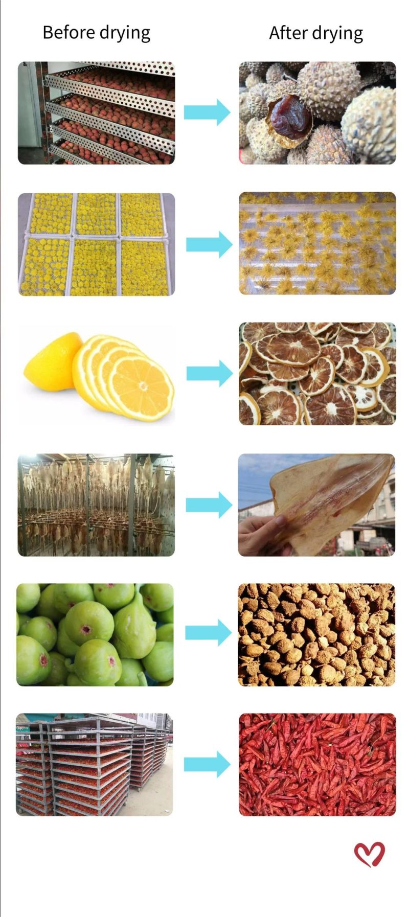 Fermented Soya Bean and Bean Products Drying Dehydration Machine