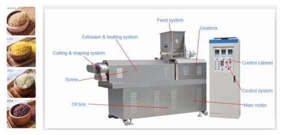 New Type High Repaid Nutritional Rice   Equipment with Ce