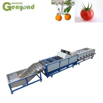 Fruit and Vegetable Drying Waxing Sorting Machine