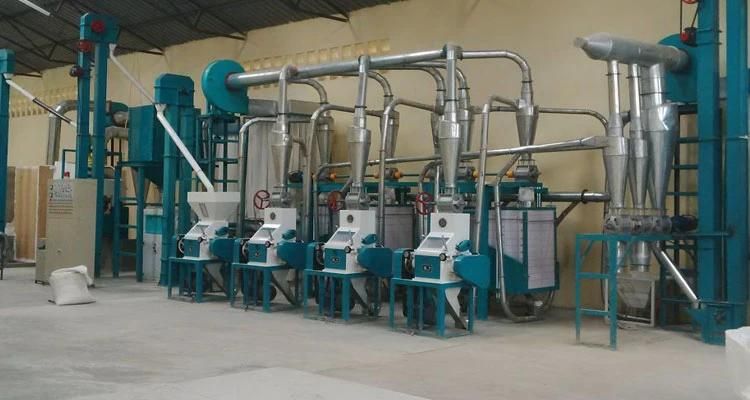 Large Scale Maize Mill Turnkey Flour Mill Machinery Price