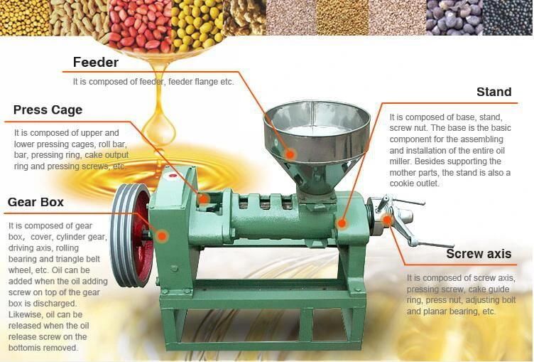 Professional Palm Kernel Oil Press Machine Oil Press Mini Machine