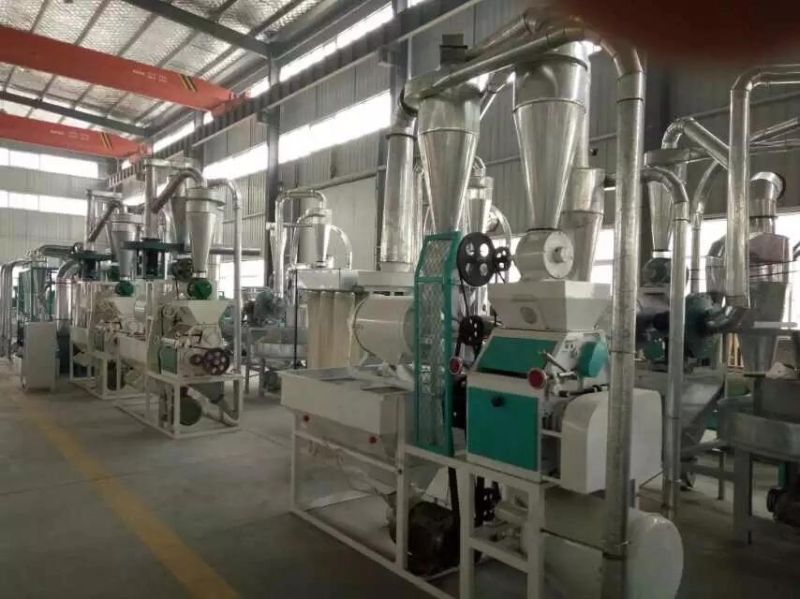 10 to 50 Ton Per Day Wheat Flour Milling Plant