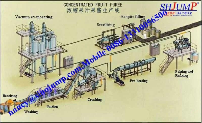 High Quality Passionflower Puree & Pulp Processing Line/Production Line