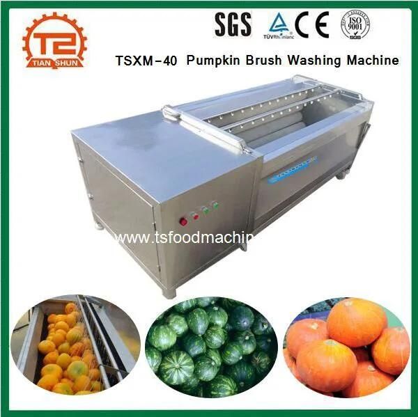 Vegetable Washer Tsxm-15 Pumpkin Brush Washing Machine