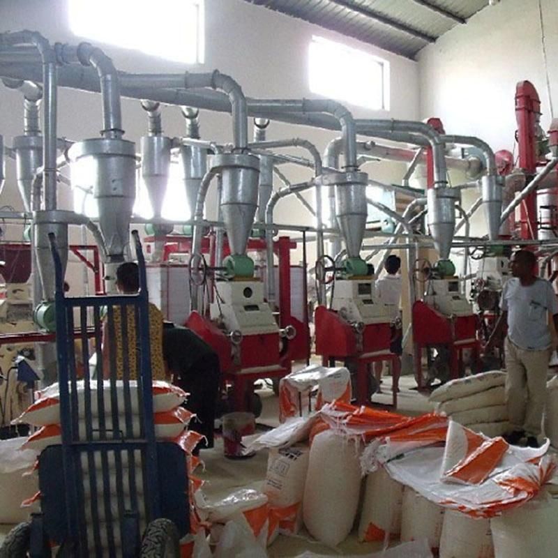 30t/24h Maize Flour Machine for Maize Meal