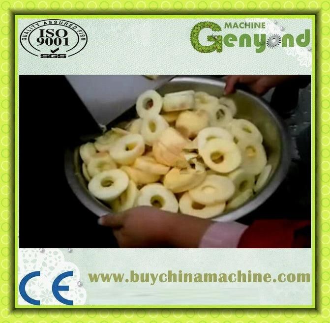 Apple Peeler Machine Pear Pitting Machine