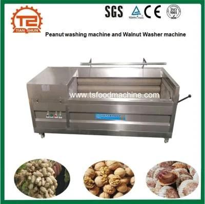 Brush Type Peanut Washing Machine and Walnut Washer Machine