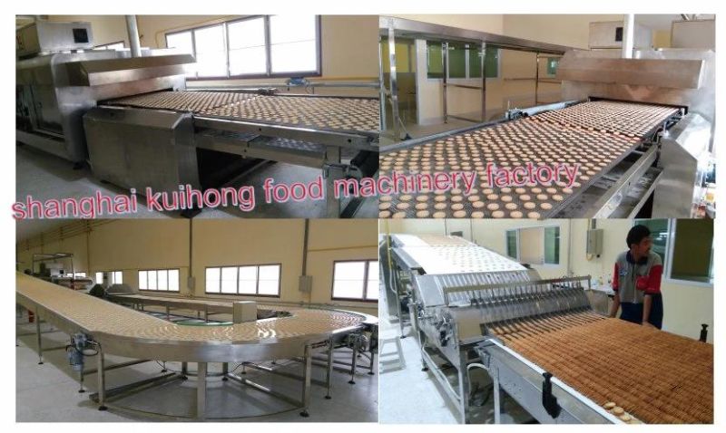 Automatic Soft and Hard Biscuit Making Machine