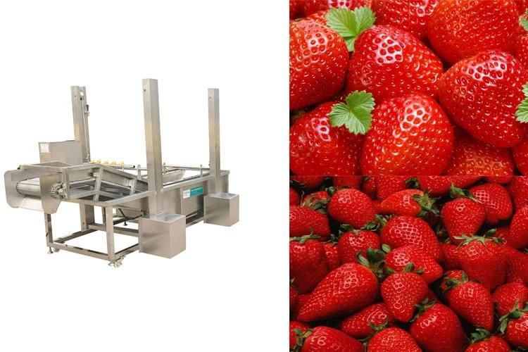 Air Bubble Cleaning Equipment with Conveyor Automatic Strawberry Washing Machine