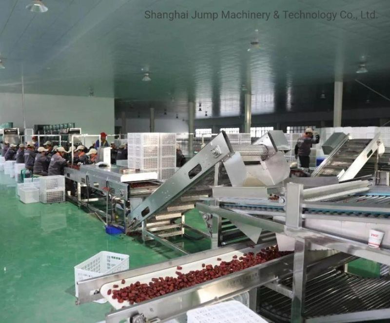 Jujube Sauce/Jujube Paste Production Line/Processing Line