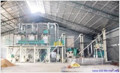 10 to 50 Ton Per Day Wheat Flour Milling Plant