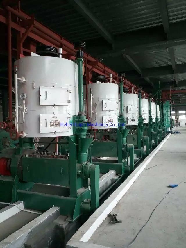 Automatic Hot Press and Cold Press Screw Oil Mill