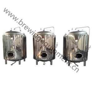 Micro Brewery Equipment Beer Fermentation Machine and Yeast Production Equipment