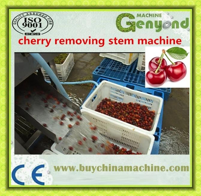 Cherry Stem Removing Machine, Cherry/Fruit Processing Machine