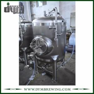 Stainless Steel Food Grade 5bbl Beer Storage Tank (EV 5BBL) for Storage The Beer