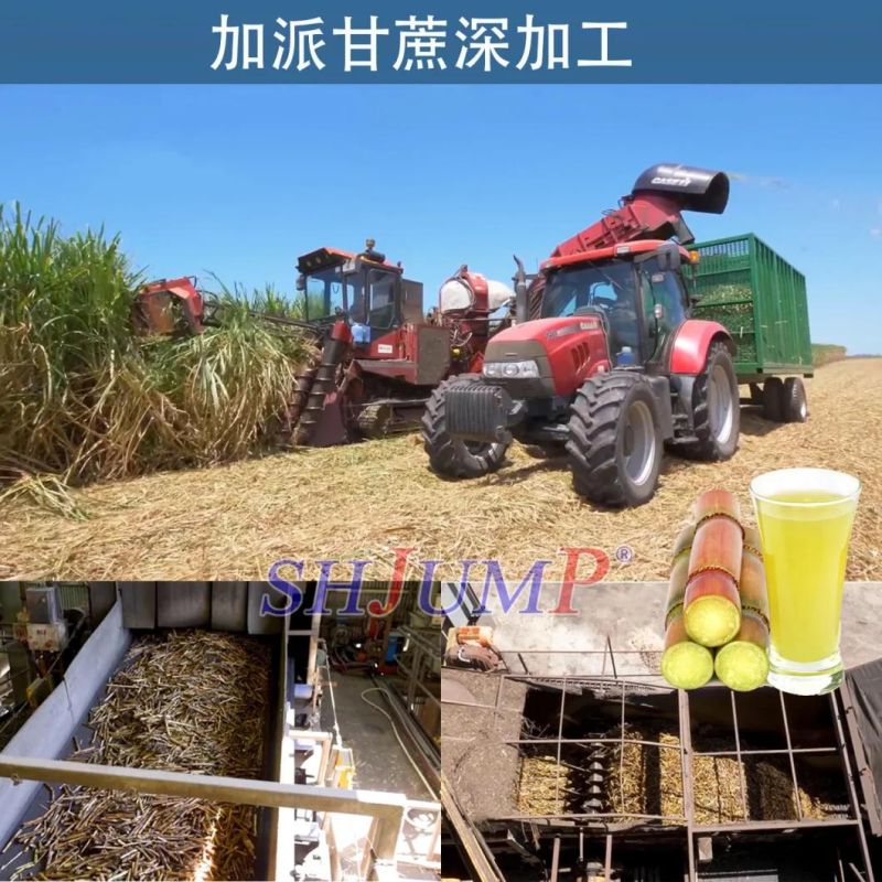 Sugar Cane Production Lines/Sugar Cane Juice Processing Line and Machines/Sugar Cane Juicing Machine/Sugarcane Juice Concentration Equipment